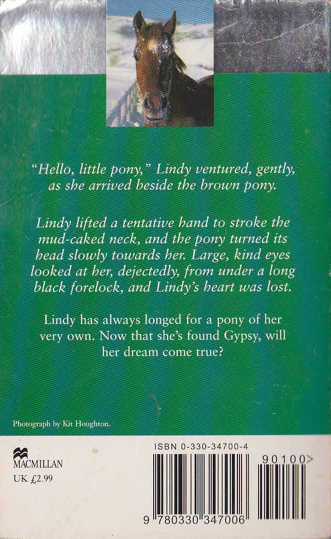 Wendy Douthwaite  THE CHRISTMAS PONY magnified rear book cover image