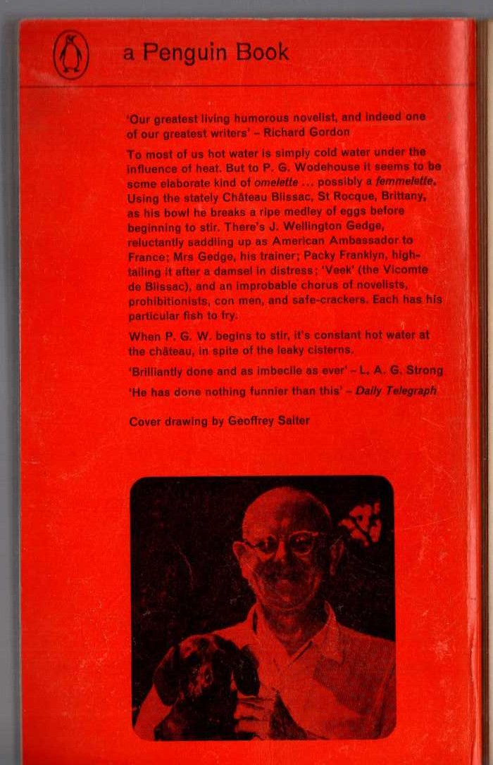 P.G. Wodehouse  HOT WATER magnified rear book cover image