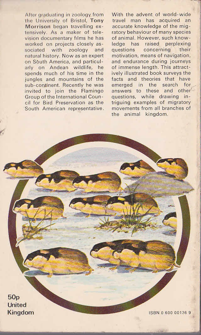 Tony Morrison  ANIMAL MIGRATION magnified rear book cover image
