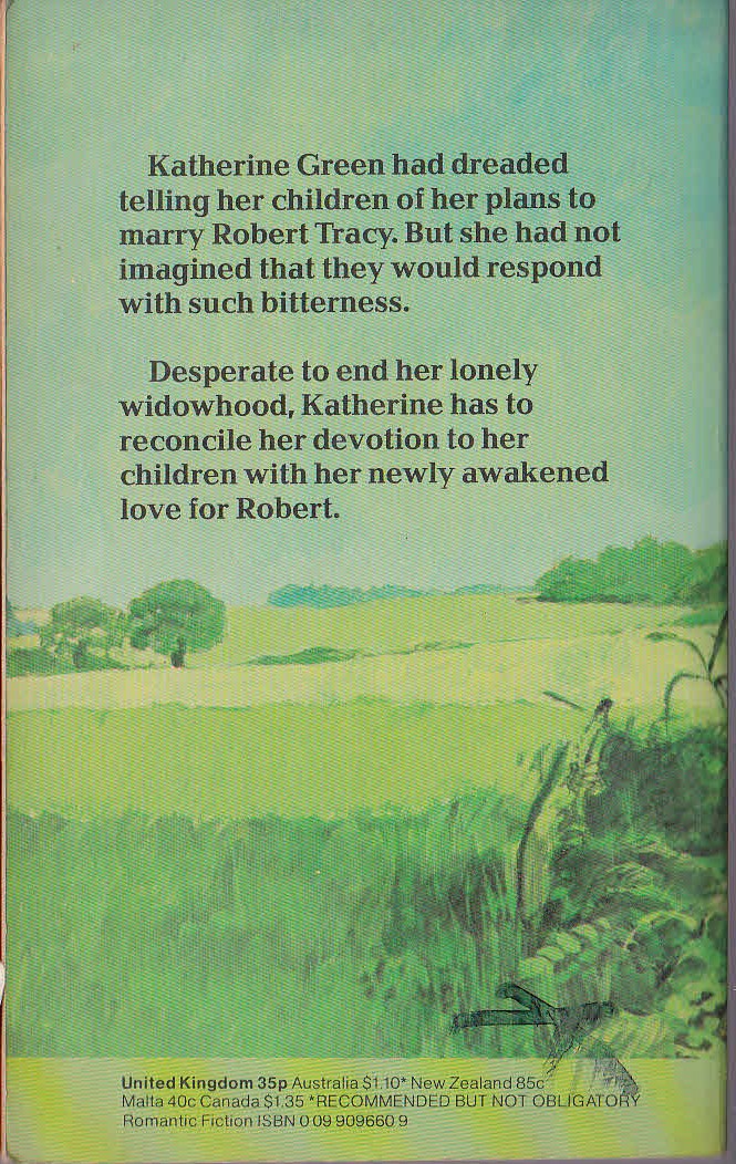 Denise Robins  SECOND MARRIAGE magnified rear book cover image