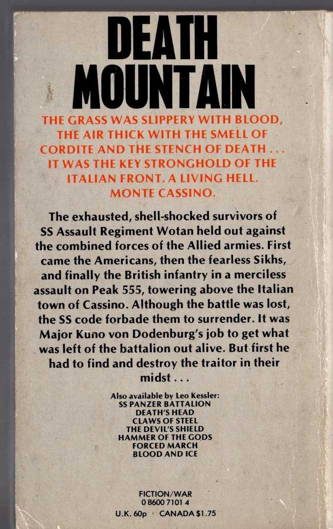 Leo Kessler  GUNS AT CASSINO magnified rear book cover image