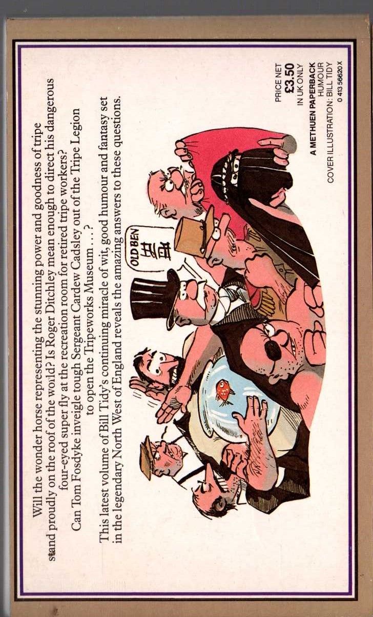Bill Tidy  FOSDYKE SAGA. Book Thirteen (13) magnified rear book cover image