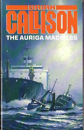 Brian Callison  THE AURIGA MADNESS front book cover image