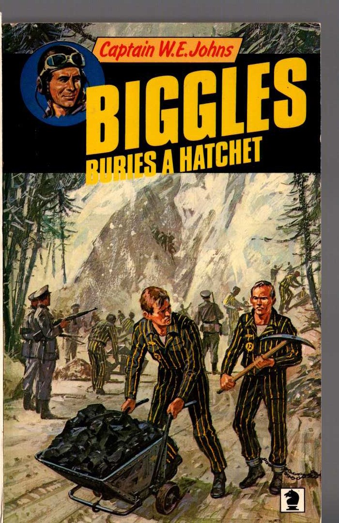 Captain W.E. Johns  BIGGLES BURIES A HATCHET front book cover image