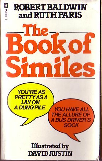 The BOOK OF SIMILES by Robert Baldwin & Ruth Paris front book cover image