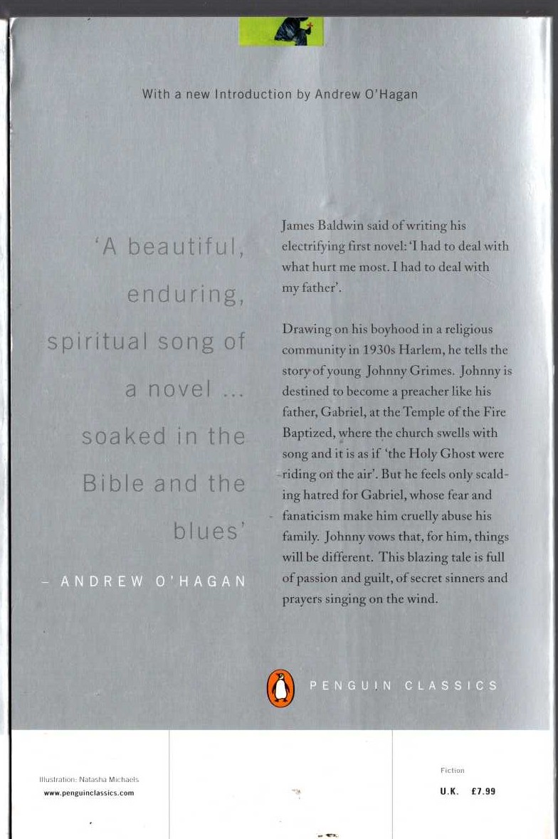 James Baldwin  GO TELL IT ON THE MOUNTAIN magnified rear book cover image