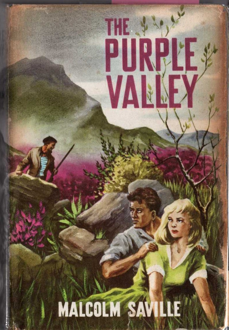 THE PURPLE VALLEY front book cover image