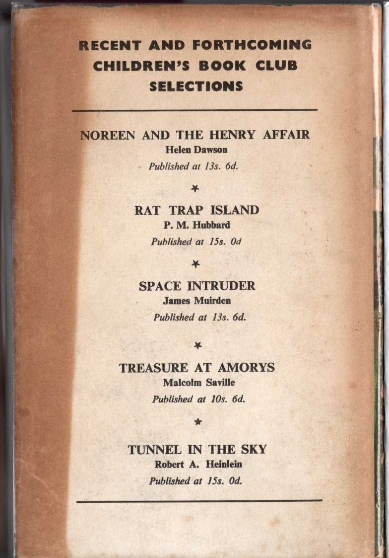 THE PURPLE VALLEY magnified rear book cover image
