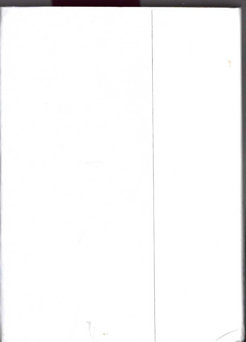 ALL SUMMER THROUGH magnified rear book cover image