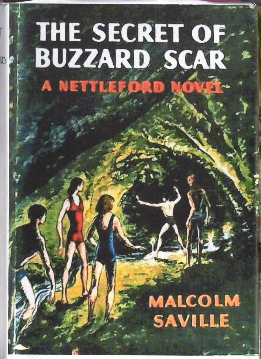 THE SECRET OF BUZZRD SCAR front book cover image