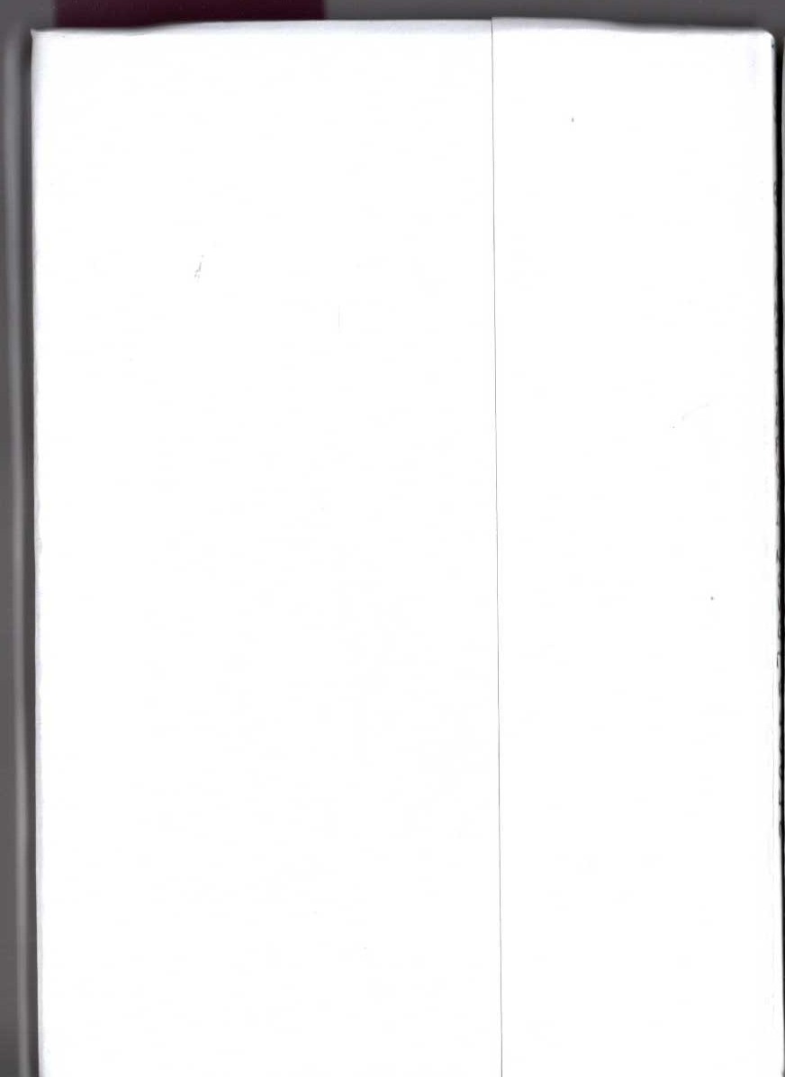 THE SECRET OF BUZZRD SCAR magnified rear book cover image
