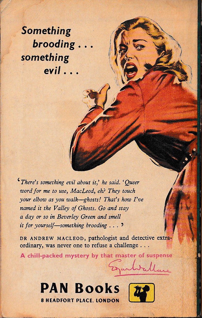 Edgar Wallace  THE VALLEY OF GHOSTS magnified rear book cover image