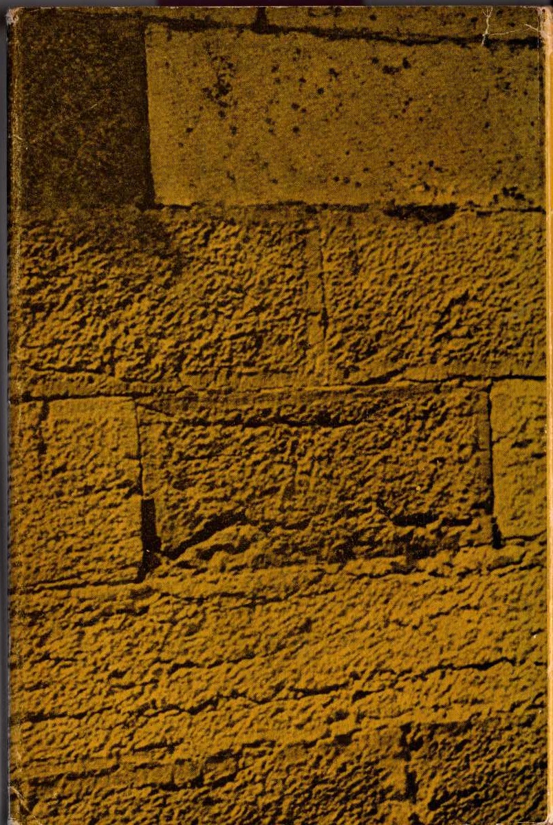 DIRTY STORY magnified rear book cover image