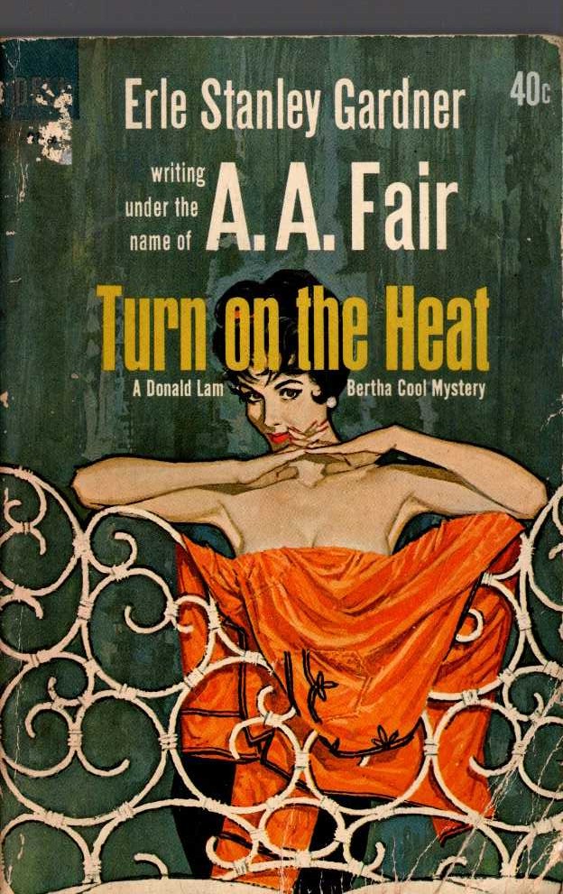 A.A. Fair  TURN ON THE HEAT front book cover image