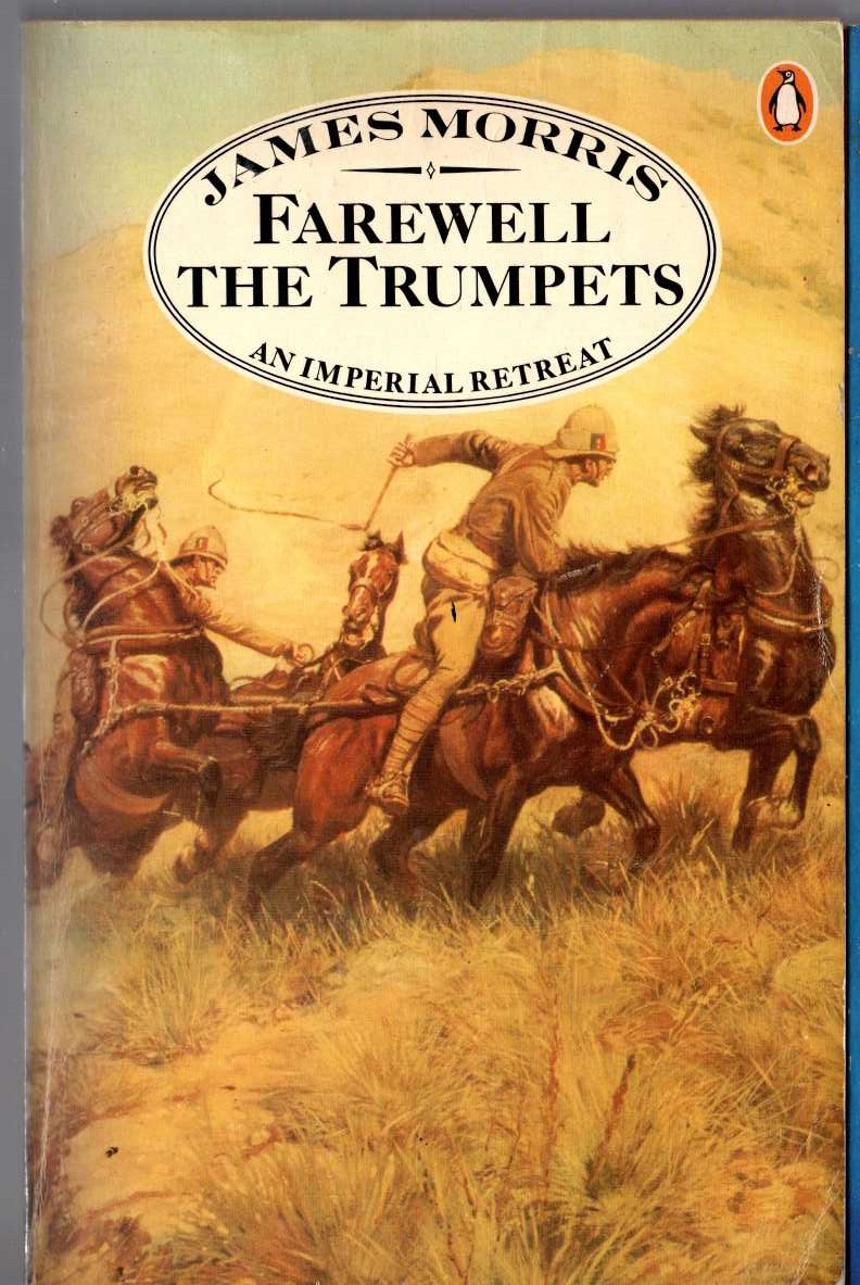 Bill Tidy  THE FOSDYKE SAGA. Book Two front book cover image