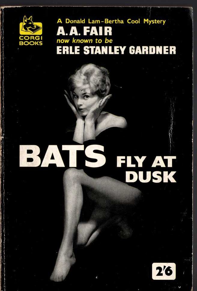 A.A. Fair  BATS FLY AT DUSK front book cover image