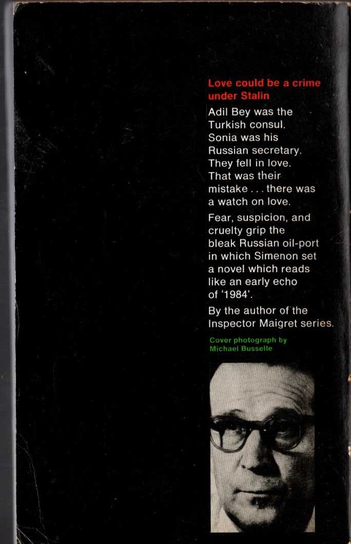 Georges Simenon  THE WINDOW OVER THE WAY magnified rear book cover image