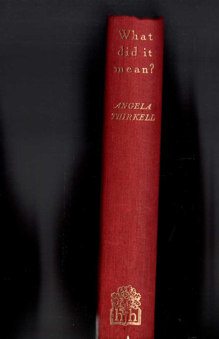 WHAT DID IT MEAN? front book cover image