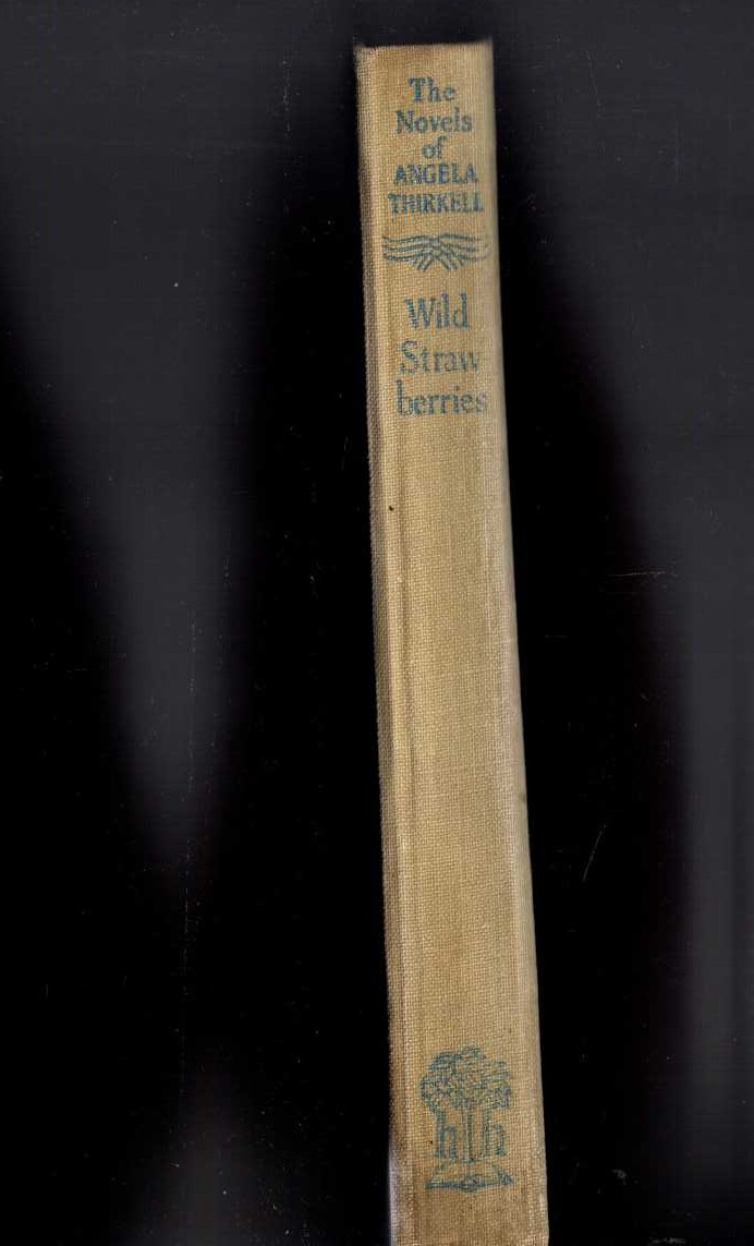 WILD STRAWBERRIES front book cover image