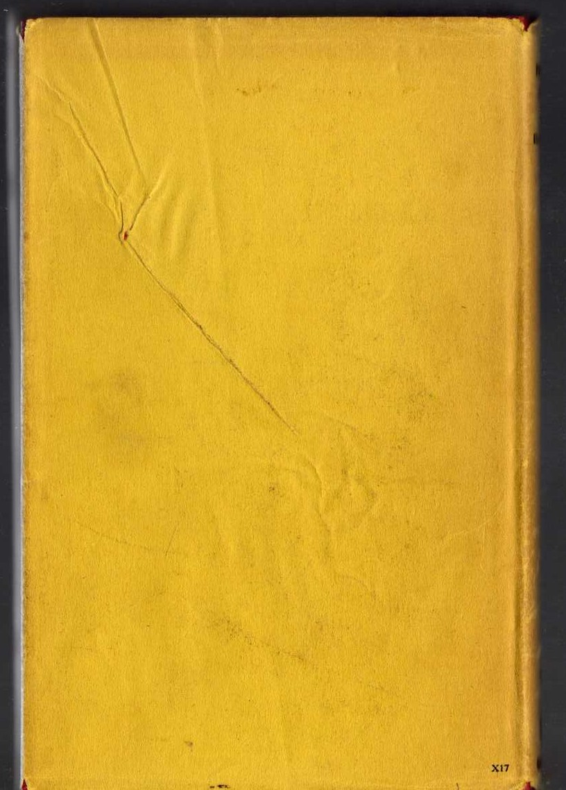 THE FINISHING STROKE magnified rear book cover image