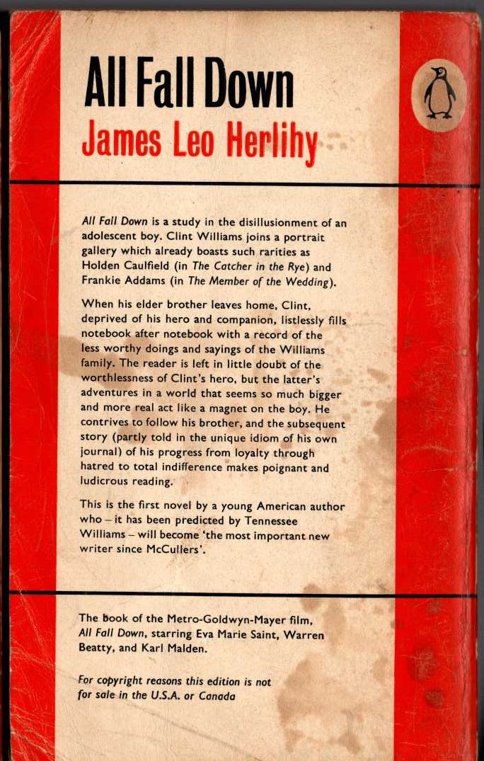 James Leo Herlihy  ALL FALL DOWN magnified rear book cover image