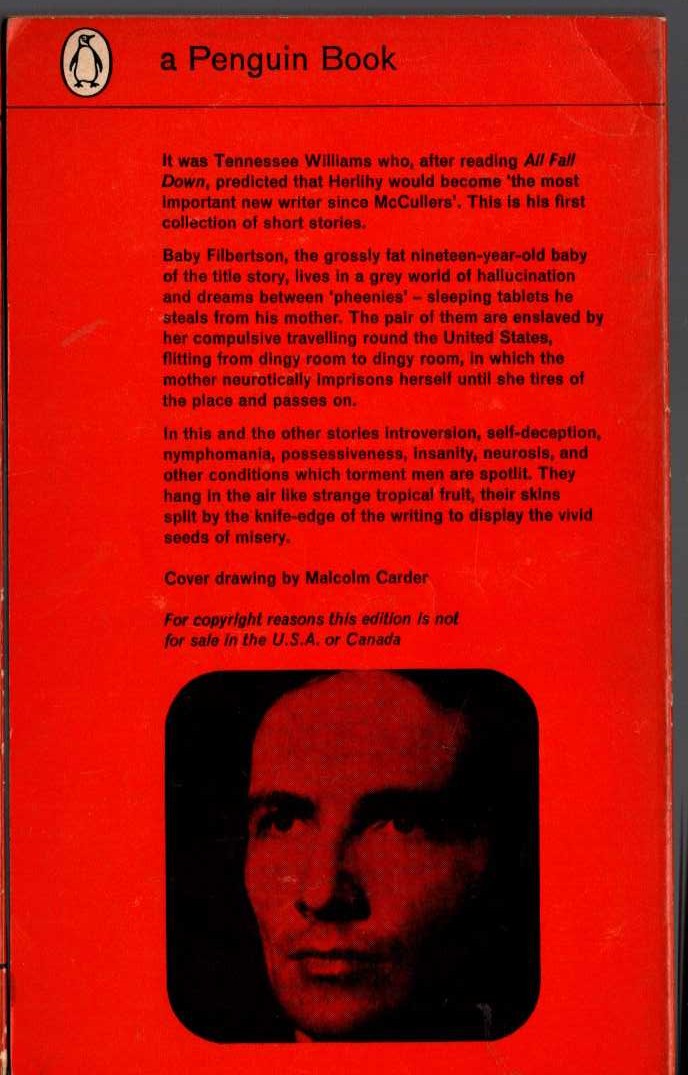 James Leo Herlihy  THE SLEEP OF BABY FILBERTSON and Other Stories magnified rear book cover image