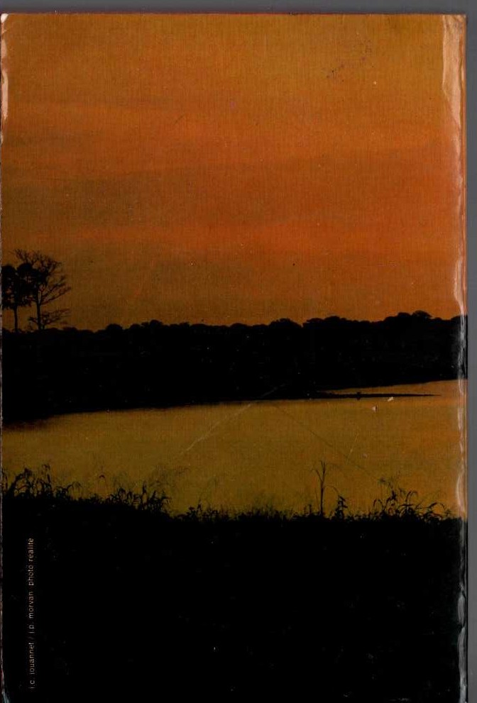 Georges Simenon  LE COU DE LUNE magnified rear book cover image
