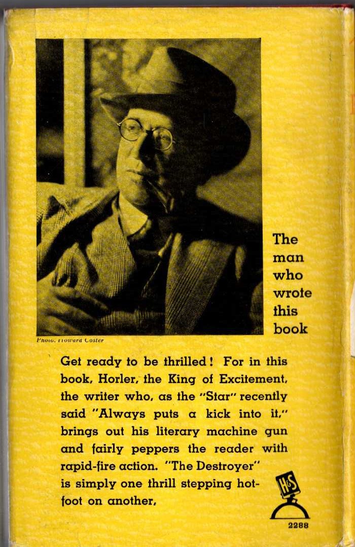 THE DESTROYER magnified rear book cover image