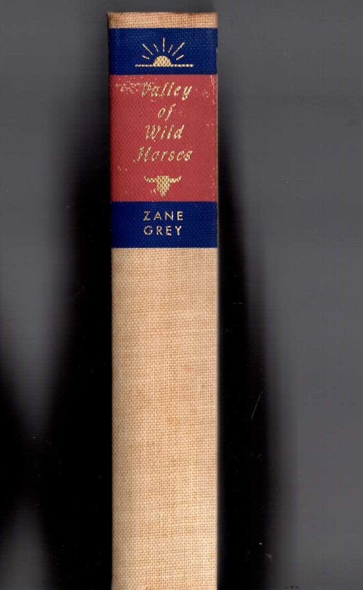 VALLEY OF WILD HORSES front book cover image