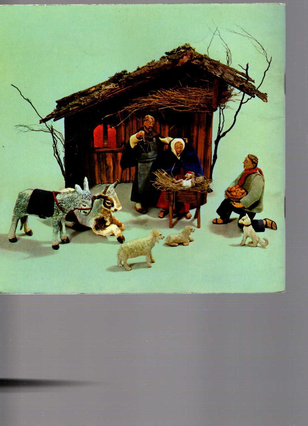  magnified rear book cover image