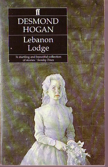 Desmond Hogan  LEBANON LODGE front book cover image