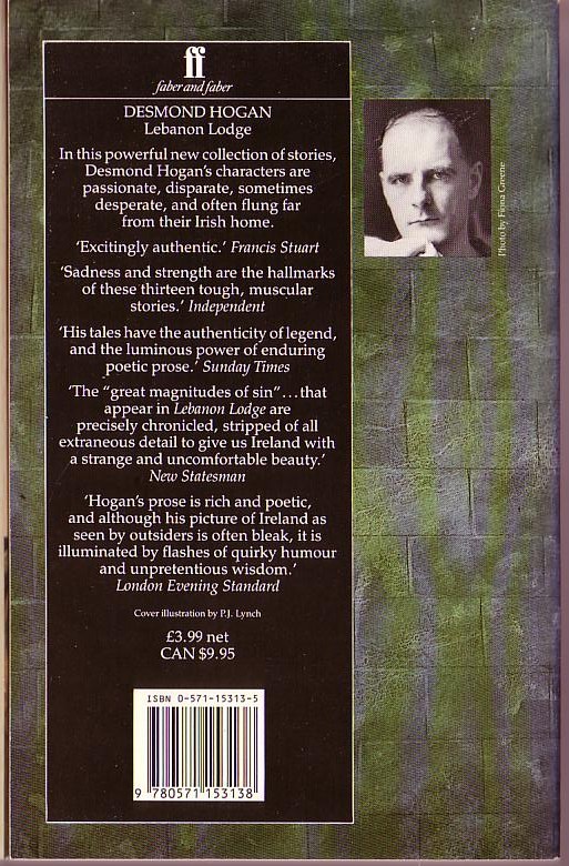 Desmond Hogan  LEBANON LODGE magnified rear book cover image