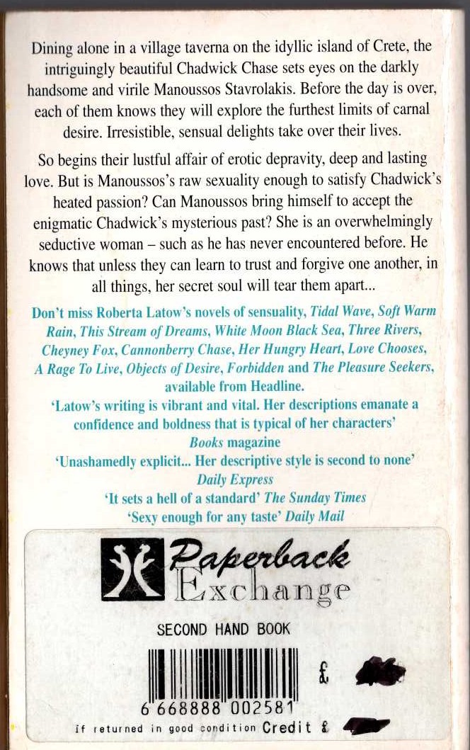 Roberta Latow  SOUL SECRETS magnified rear book cover image