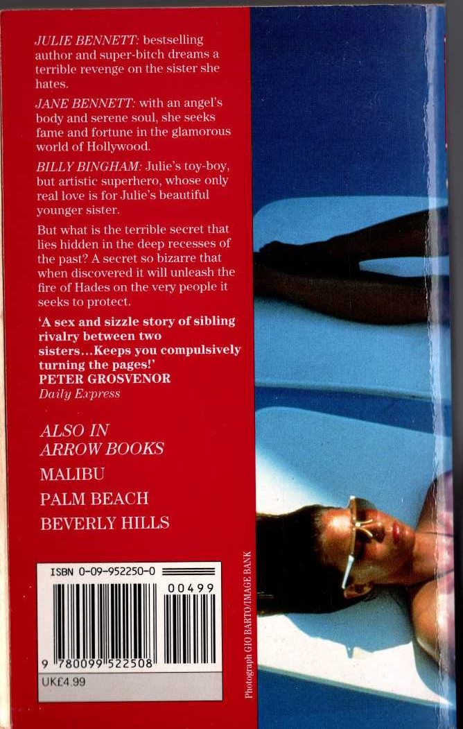 Pat Booth  THE SISTERS magnified rear book cover image