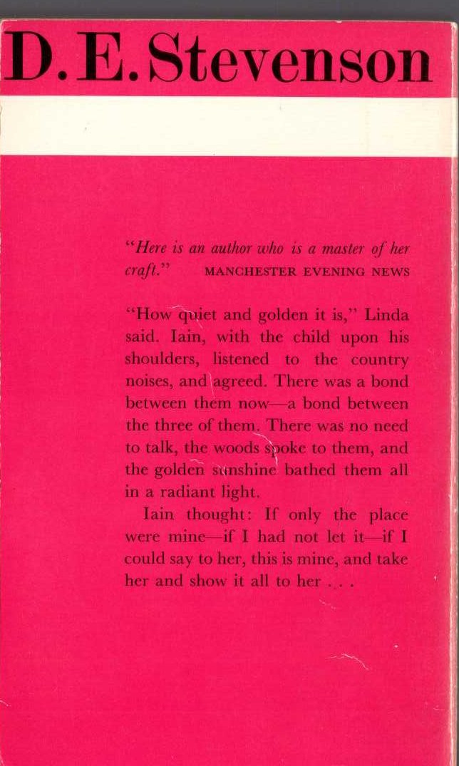 D.E. Stevenson  SMOULDERING FIRE magnified rear book cover image