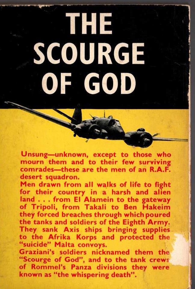 Victor Houart  DESERT SQUADRON magnified rear book cover image