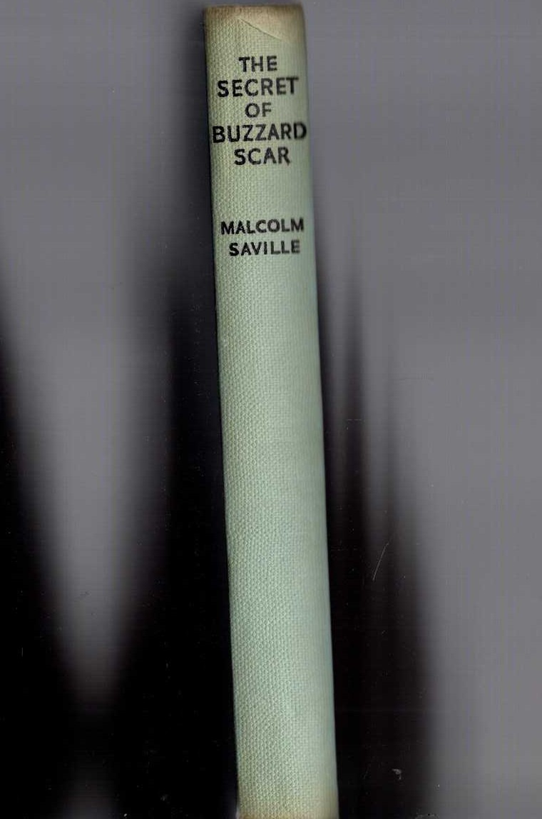 THE SECRET OF BUZZARD SCAR front book cover image