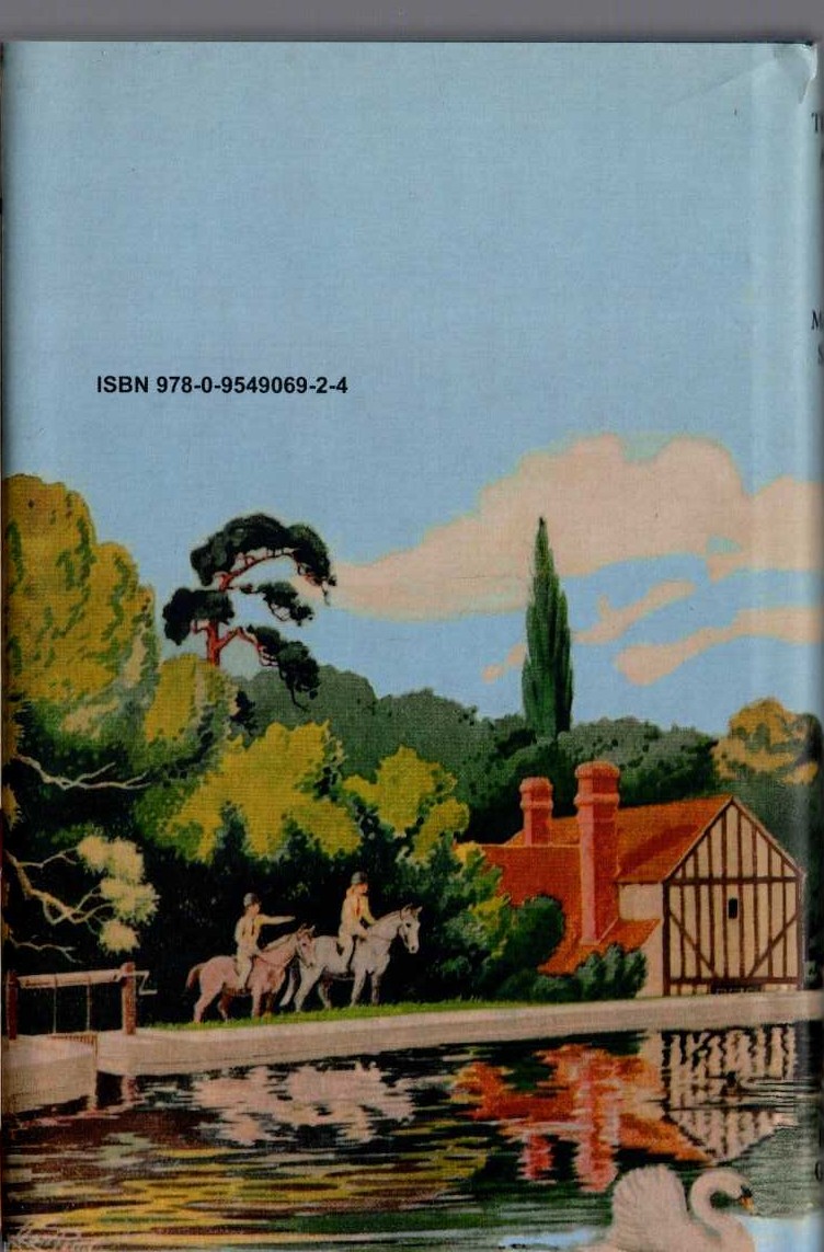 TREASURE AT THE MILL magnified rear book cover image