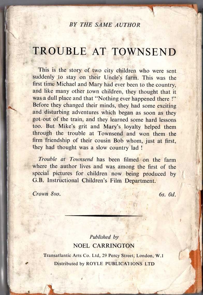 THE RIDDLE OF THE PAINTED BOX magnified rear book cover image