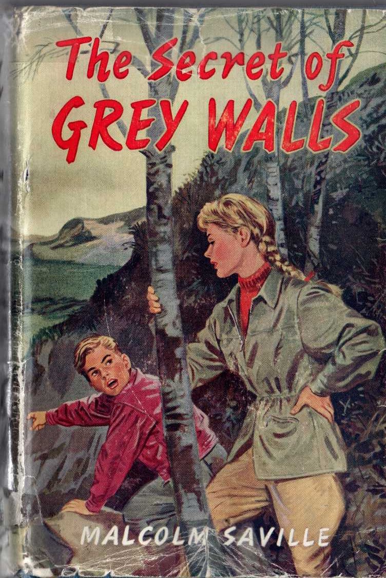 THE SECRET OF GREY WALLS front book cover image