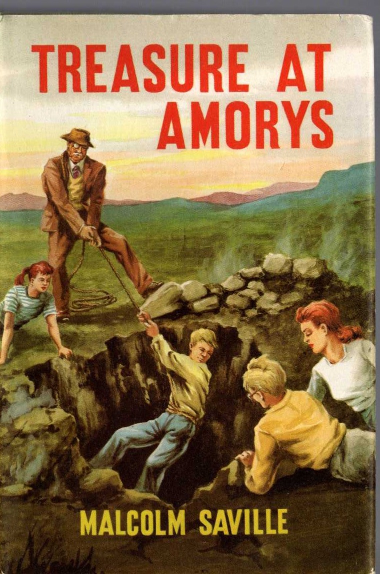 TREASURE AT AMORYS front book cover image