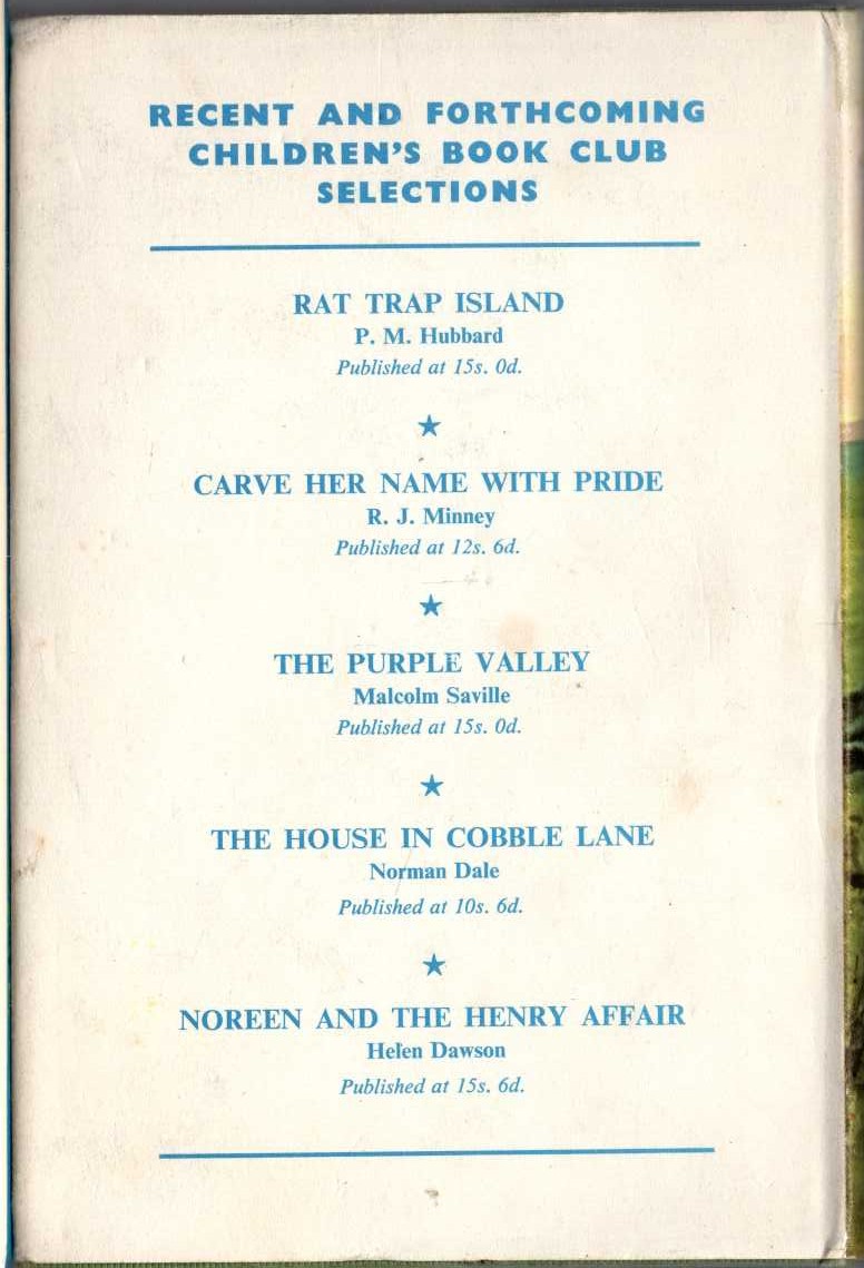 TREASURE AT AMORYS magnified rear book cover image