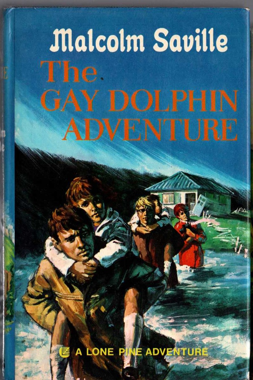 THE GAY DOLPHIN ADVENTURE front book cover image