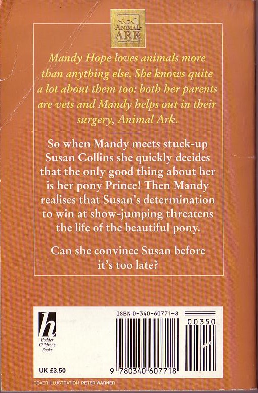 Lucy Daniels  PONY IN THE PORCH magnified rear book cover image