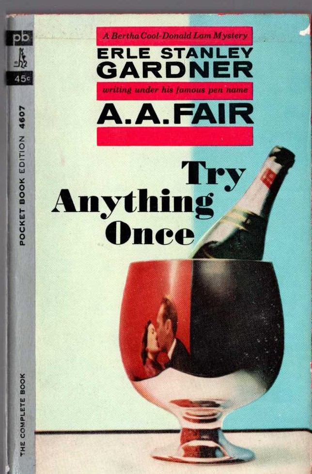 A.A. Fair  TRY ANYTHING ONCE front book cover image