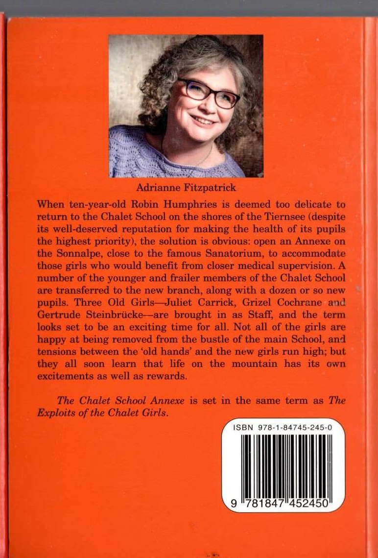 Elinor M. Brent-Dyer  THE CHALET SCHOOL ANNEXE magnified rear book cover image