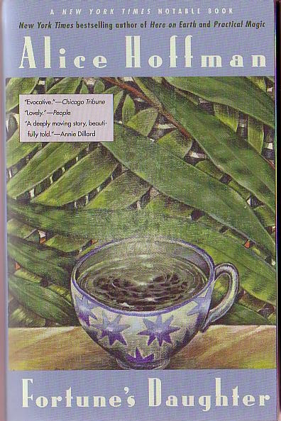 Alice Hoffman  FORTUNE'S DAUGHTER front book cover image
