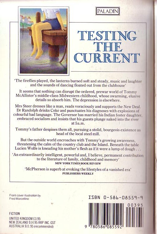 William McPherson  TESTING THE CURRENT magnified rear book cover image