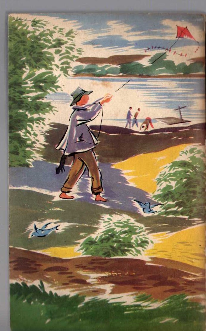 Mark Twain  THE ADVENTURES OF TOM SAWYER magnified rear book cover image
