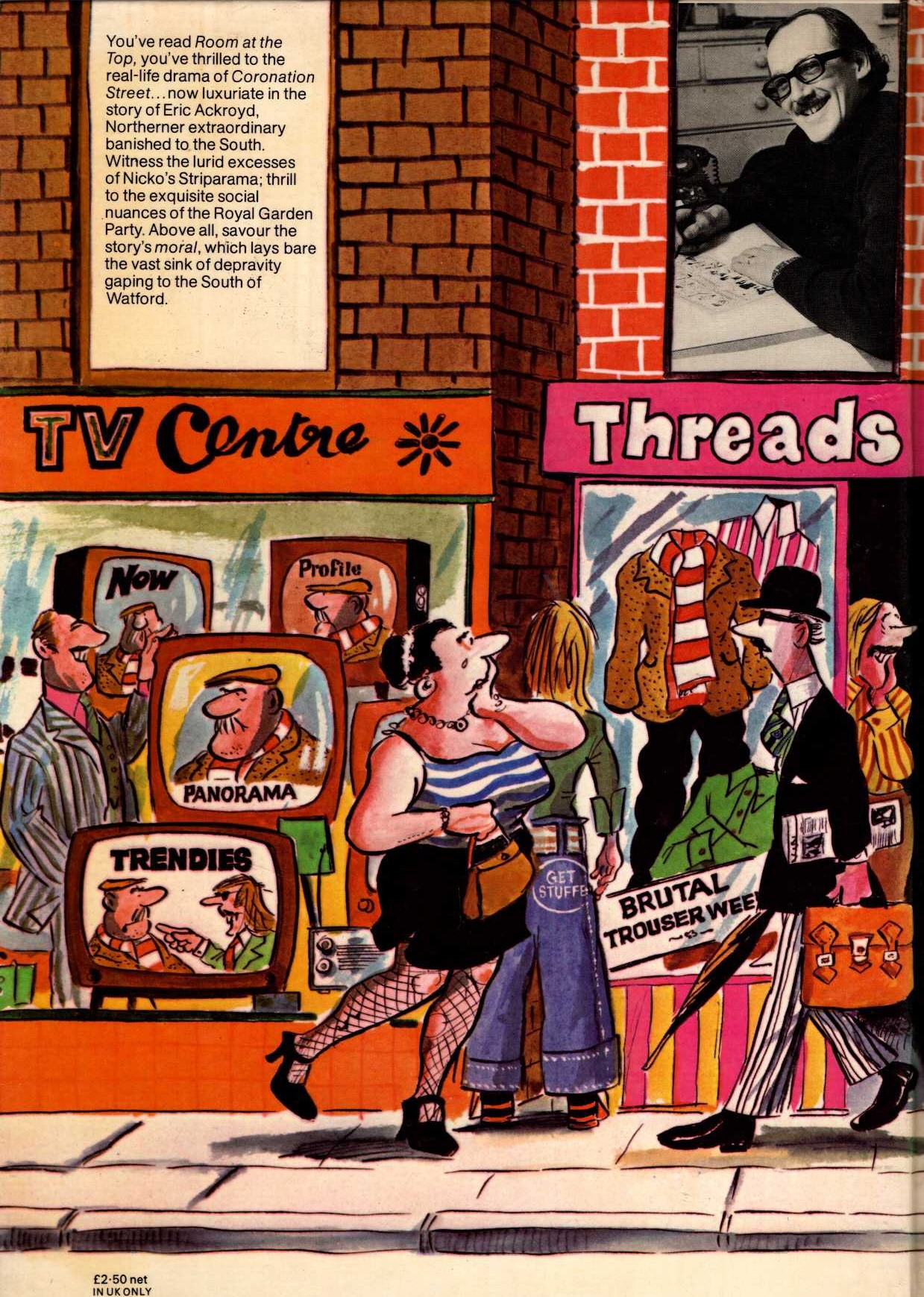 THE GREAT ERIC ACKROYD DISASTER magnified rear book cover image